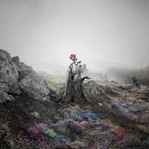 成人免费无码婬片在线观看免费
